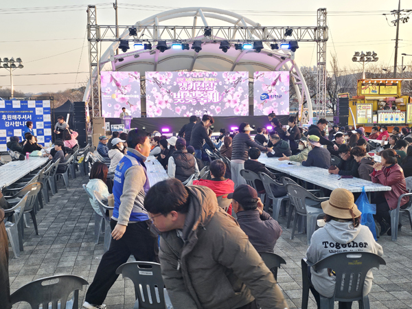 벚꽃 없는 벚꽃 축제…