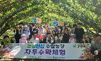농협진천군지부, ‘나의 농심 터’ 자두 수확체험